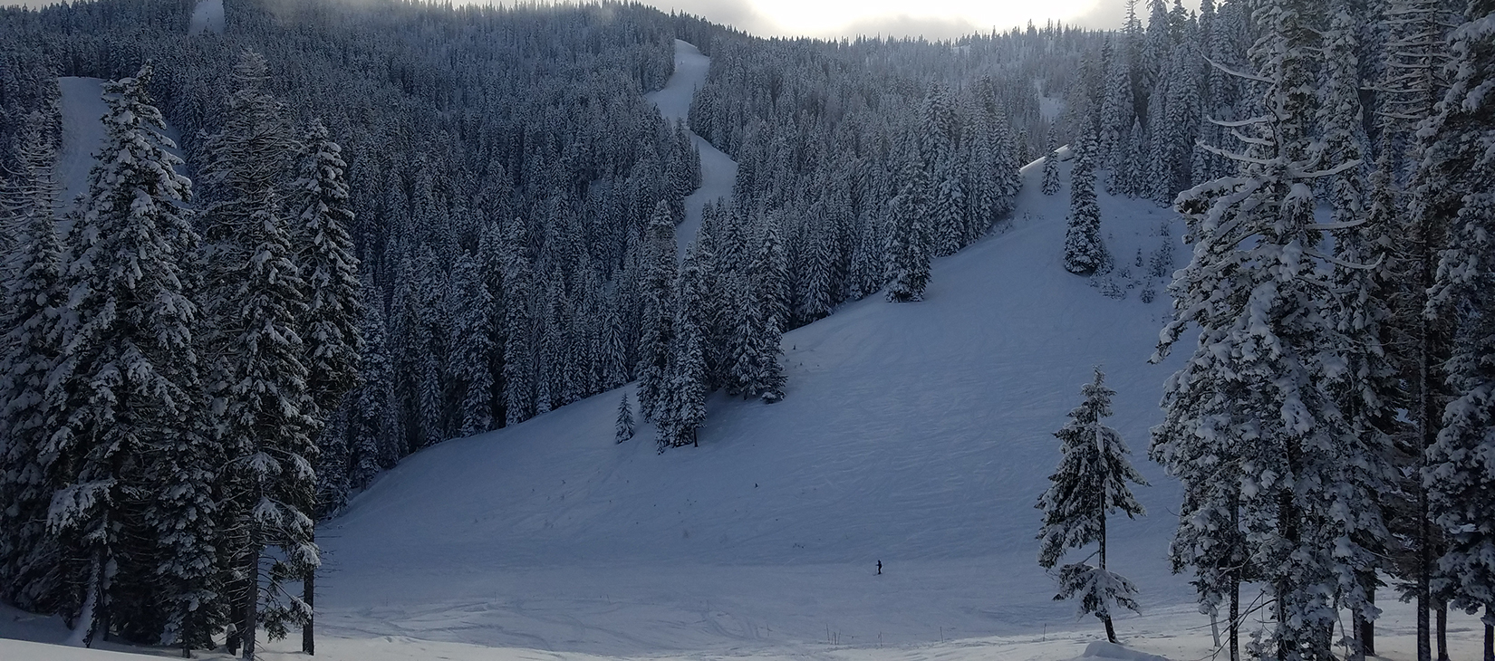 Ski Bluewood Ski Resort